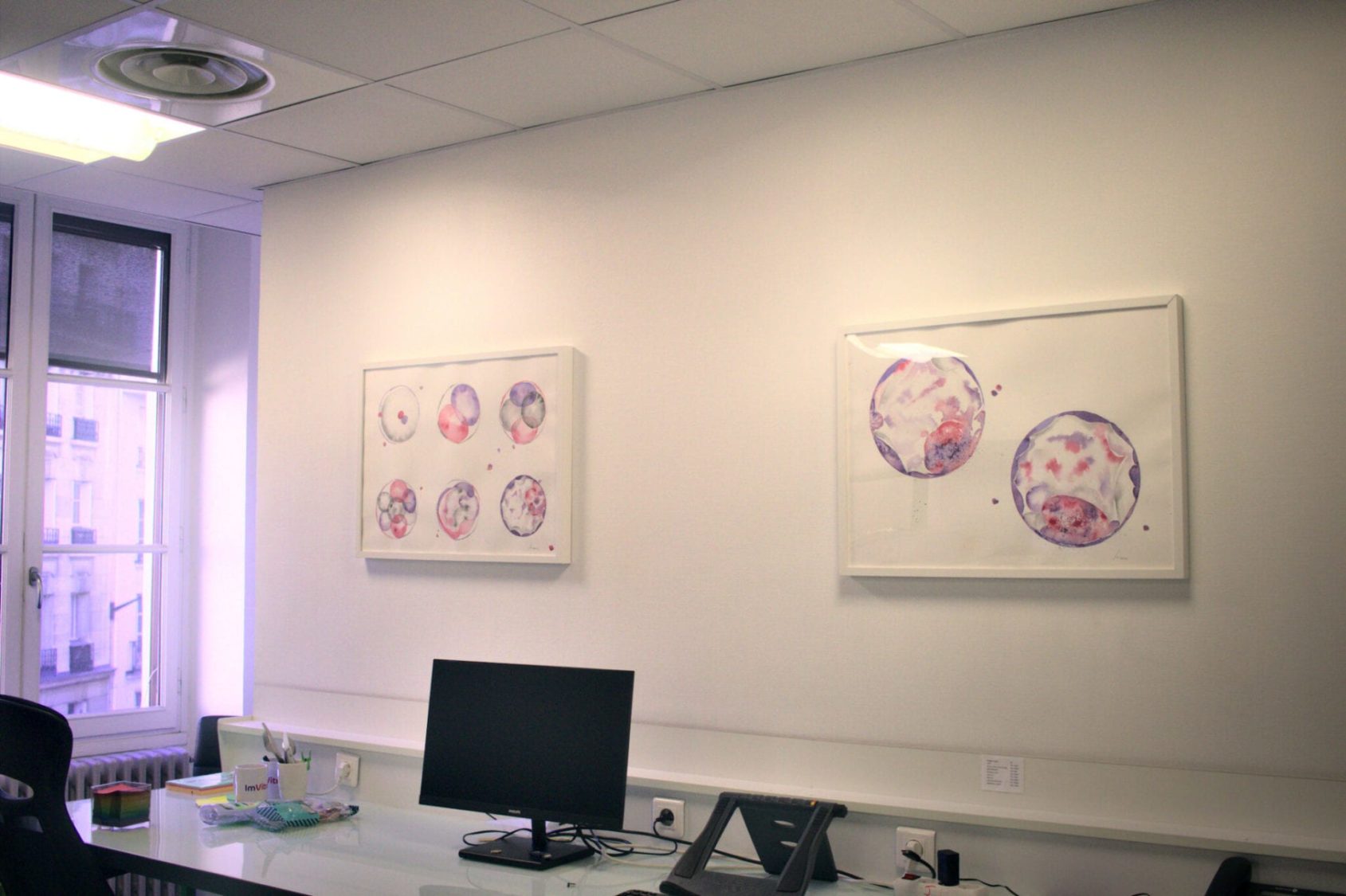 Embryo paintings by Sara Puig Alier inside ImVitro's offices
