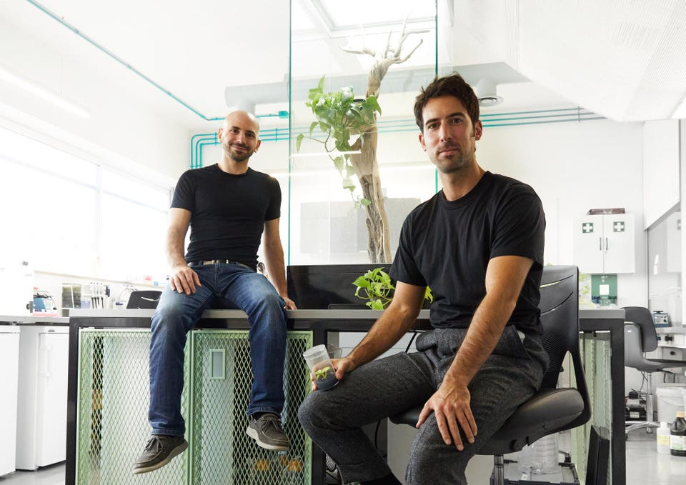 Neoplants founders